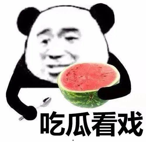娱乐吃瓜君熊猫头,娱乐吃瓜君带你领略萌宠魅力