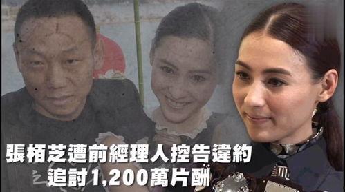 吃瓜娱乐ing,揭秘娱乐圈幕后故事